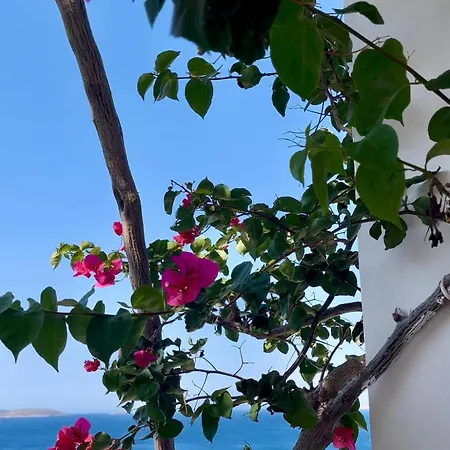 Thalassia Apartment Kalamitsa