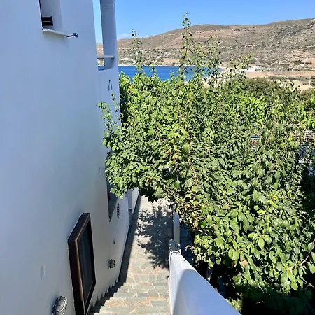 Thalassia Daire