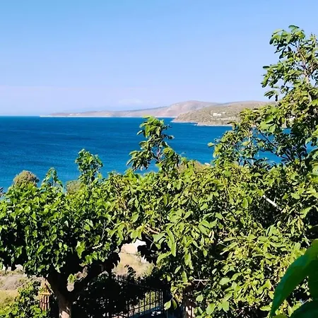 Apartment Thalassia